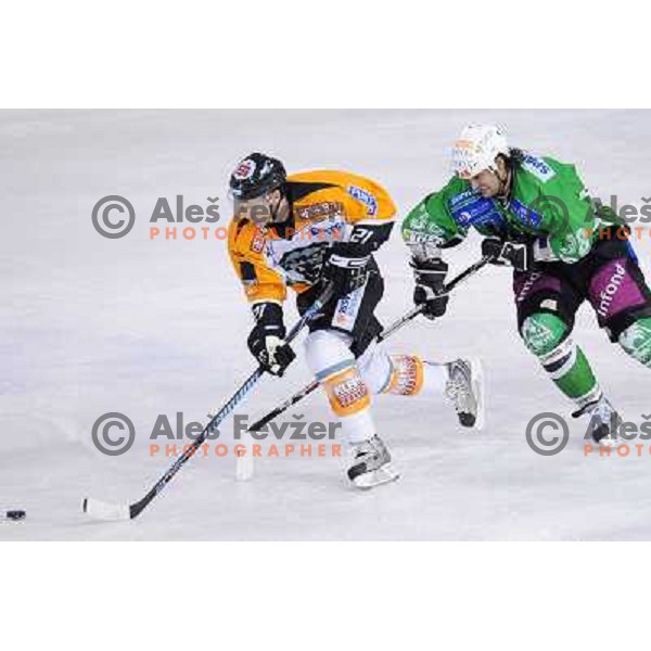 Banham at ice hockey match in the EBEL League , Tilia Olimpija - Graz 99ers, 26.12.2008 Hala Tivoli, Ljubljana 