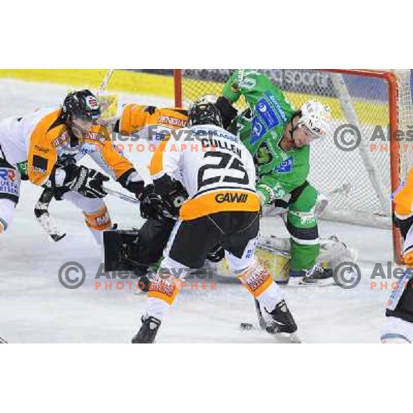 Yarema at ice hockey match in the EBEL League , Tilia Olimpija - Graz 99ers, 26.12.2008 Hala Tivoli, Ljubljana 