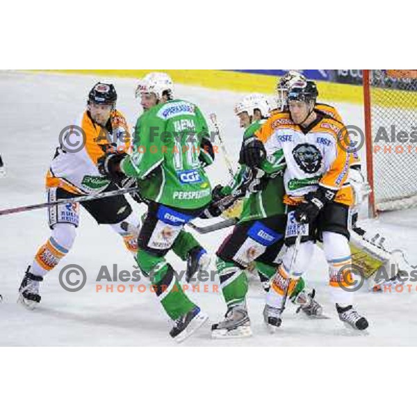 Yarema at ice hockey match in the EBEL League , Tilia Olimpija - Graz 99ers, 26.12.2008 Hala Tivoli, Ljubljana 