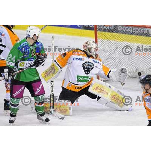 Vnuk at ice hockey match in the EBEL League , Tilia Olimpija - Graz 99ers, 26.12.2008 Hala Tivoli, Ljubljana 