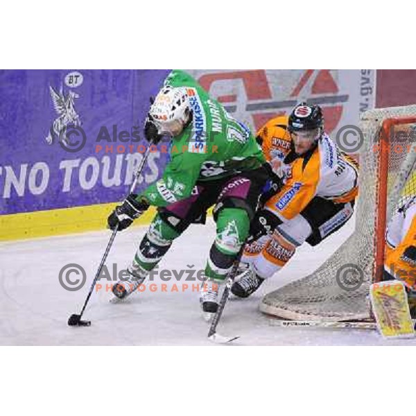 Muric at ice hockey match in the EBEL League , Tilia Olimpija - Graz 99ers, 26.12.2008 Hala Tivoli, Ljubljana 