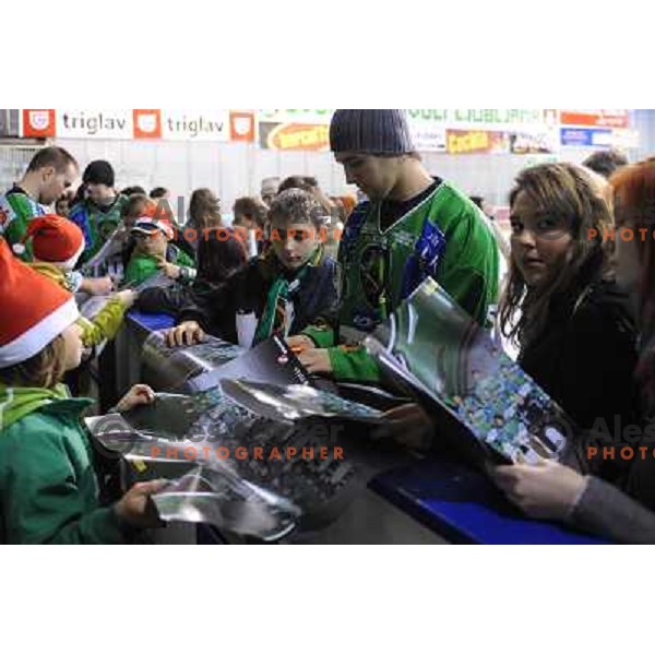 Children fans at ice hockey match in the EBEL League , Tilia Olimpija - Graz 99ers, 26.12.2008 Hala Tivoli, Ljubljana 