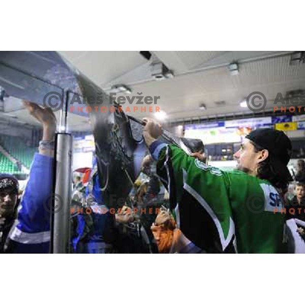 Banham at ice hockey match in the EBEL League , Tilia Olimpija - Graz 99ers, 26.12.2008 Hala Tivoli, Ljubljana 