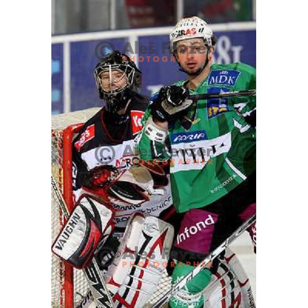 Glavic and Yarema at ice hockey match Tilia Olimpija-Acroni Jesenice in round 39 of Ebel league, played in Hala Tivoli, Ljubljana 30.12.2008 