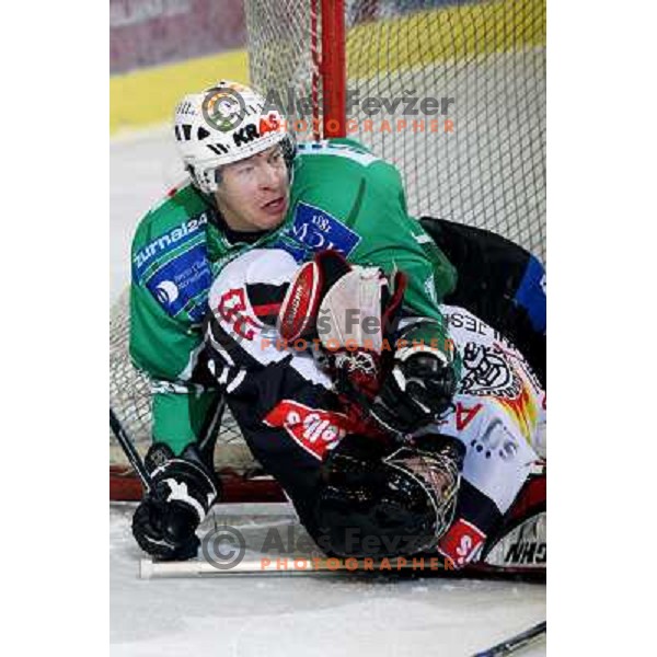 Muric and Glavic at ice hockey match Tilia Olimpija-Acroni Jesenice in round 39 of Ebel league, played in Hala Tivoli, Ljubljana 30.12.2008 
