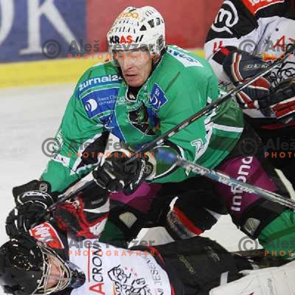 Muric and Glavic at ice hockey match Tilia Olimpija-Acroni Jesenice in round 39 of Ebel league, played in Hala Tivoli, Ljubljana 30.12.2008 