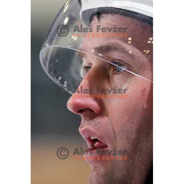 Tomaz Razingar at ice hockey match Tilia Olimpija-Acroni Jesenice in round 39 of Ebel league, played in Hala Tivoli, Ljubljana 30.12.2008 