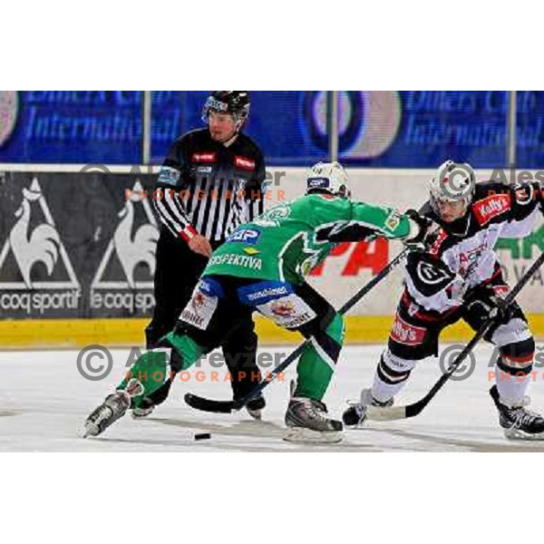 Ales Music at ice hockey match Tilia Olimpija-Acroni Jesenice in round 39 of Ebel league, played in Hala Tivoli, Ljubljana 30.12.2008 