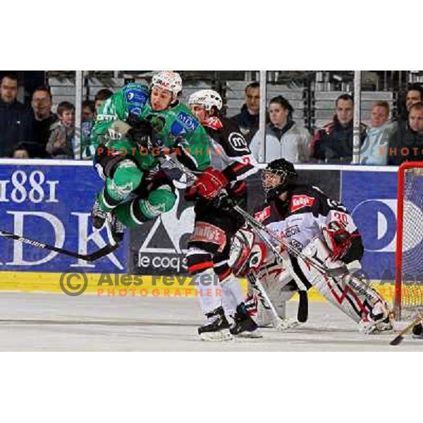 Yarema , Svete (3), Glavic (30) at ice hockey match Tilia Olimpija-Acroni Jesenice in round 39 of Ebel league, played in Hala Tivoli, Ljubljana 30.12.2008 