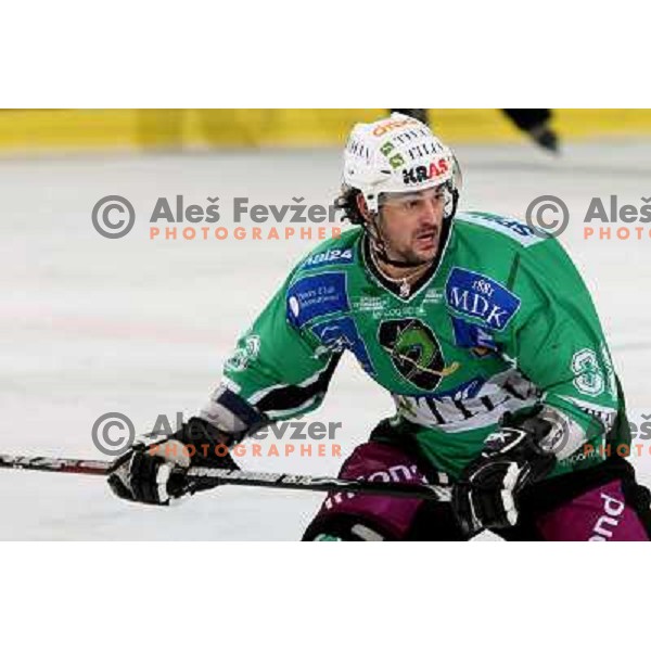 Frank Banham at ice hockey match Tilia Olimpija-Acroni Jesenice in round 39 of Ebel league, played in Hala Tivoli, Ljubljana 30.12.2008 