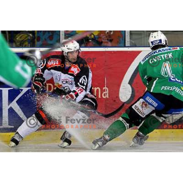 Manfreda and Cvetek at ice hockey match Tilia Olimpija-Acroni Jesenice in round 39 of Ebel league, played in Hala Tivoli, Ljubljana 30.12.2008 