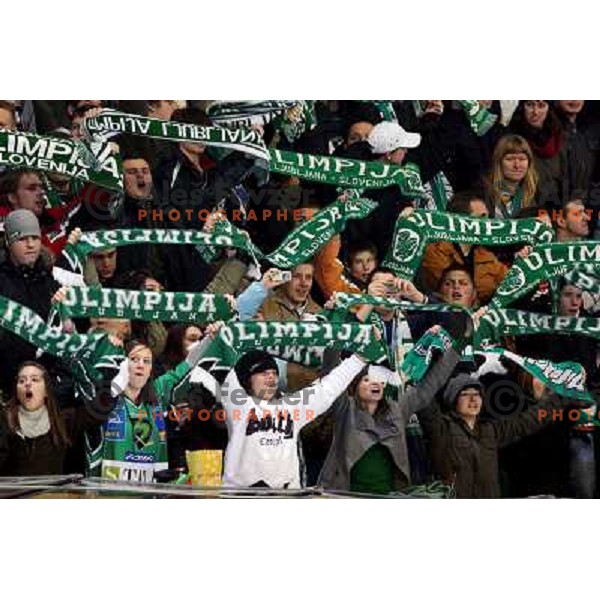 Olimpija fans at ice hockey match Tilia Olimpija-Acroni Jesenice in round 39 of Ebel league, played in Hala Tivoli, Ljubljana 30.12.2008 