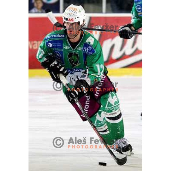 Todd Elik at ice-hockey match Tilia Olimpija- Acroni Jesenice in round 39 of Ebel league, played in Hala Tivoli, Ljubljana 30.12.2008. Tlia Olimpija won 4:3 in over-time. 