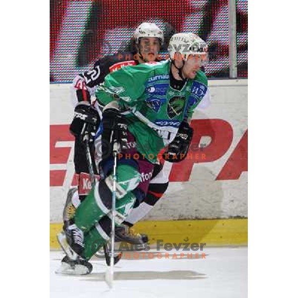 Andrej Tavzelj at ice-hockey match Tilia Olimpija- Acroni Jesenice in round 39 of Ebel league, played in Hala Tivoli, Ljubljana 30.12.2008. Tlia Olimpija won 4:3 in over-time. 