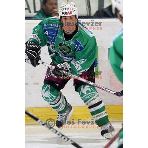 Intranuovo at ice-hockey match Tilia Olimpija- Acroni Jesenice in round 39 of Ebel league, played in Hala Tivoli, Ljubljana 30.12.2008. Tlia Olimpija won 4:3 in over-time. 