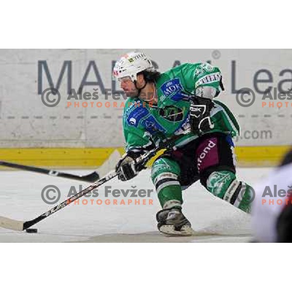 Frank Banham at ice-hockey match Tilia Olimpija- Acroni Jesenice in round 39 of Ebel league, played in Hala Tivoli, Ljubljana 30.12.2008. Tlia Olimpija won 4:3 in over-time. 