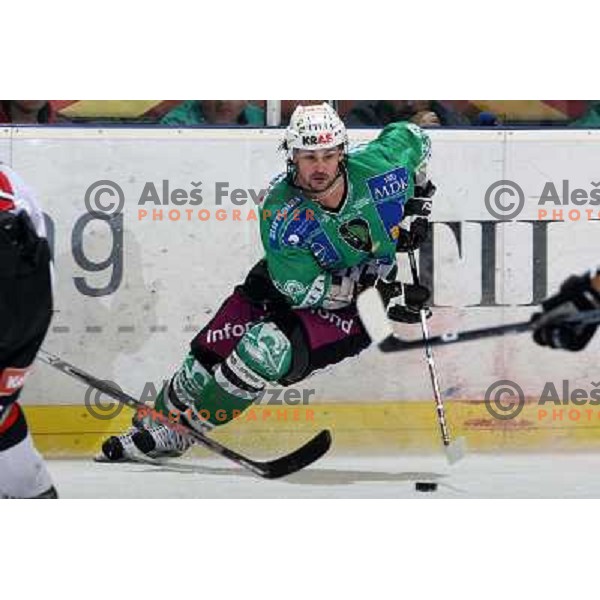 Frank Banham at ice-hockey match Tilia Olimpija- Acroni Jesenice in round 39 of Ebel league, played in Hala Tivoli, Ljubljana 30.12.2008. Tlia Olimpija won 4:3 in over-time. 