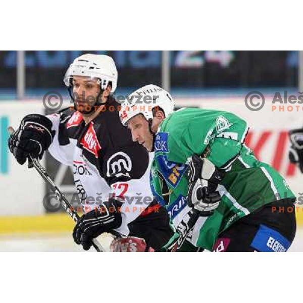 Pare (32) and Vnuk (24) at ice-hockey match Tilia Olimpija- Acroni Jesenice in round 39 of Ebel league, played in Hala Tivoli, Ljubljana 30.12.2008. Tlia Olimpija won 4:3 in over-time. 