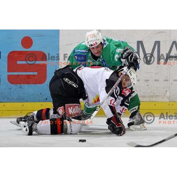 David Rodman (12) and Tomaz Vnuk (24) at ice-hockey match Tilia Olimpija- Acroni Jesenice in round 39 of Ebel league, played in Hala Tivoli, Ljubljana 30.12.2008. Tlia Olimpija won 4:3 in over-time. 