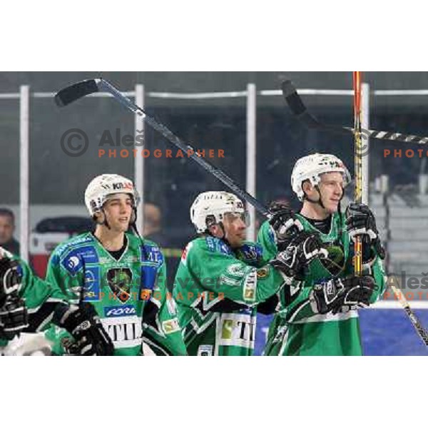 Pance, Music, Groznik at ice-hockey match Tilia Olimpija- Acroni Jesenice in round 39 of Ebel league, played in Hala Tivoli, Ljubljana 30.12.2008. Tlia Olimpija won 4:3 in over-time. 