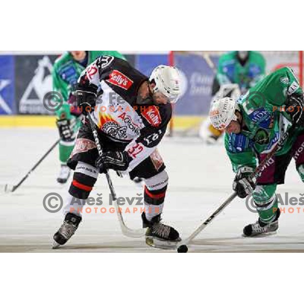 Pare (32) and Vnuk at ice-hockey match Tilia Olimpija- Acroni Jesenice in round 39 of Ebel league, played in Hala Tivoli, Ljubljana 30.12.2008. Tlia Olimpija won 4:3 in over-time. 