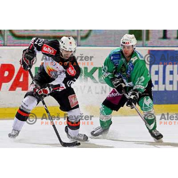 David Rodman and Greg Kuznik at ice-hockey match Tilia Olimpija- Acroni Jesenice in round 39 of Ebel league, played in Hala Tivoli, Ljubljana 30.12.2008. Tlia Olimpija won 4:3 in over-time. 