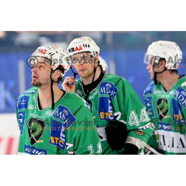 Yarema at ice-hockey match Tilia Olimpija- Acroni Jesenice in round 39 of Ebel league, played in Hala Tivoli, Ljubljana 30.12.2008. Tlia Olimpija won 4:3 in over-time. 