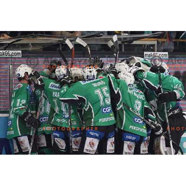 at ice-hockey match Tilia Olimpija- Acroni Jesenice in round 39 of Ebel league, played in Hala Tivoli, Ljubljana 30.12.2008. Tlia Olimpija won 4:3 in over-time. 