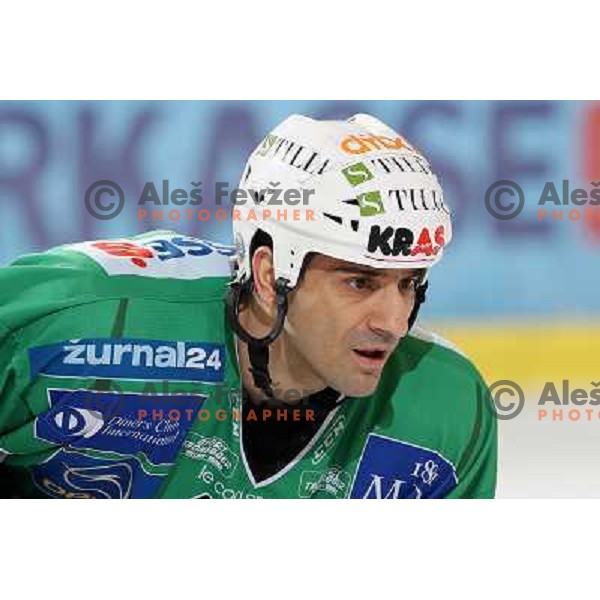 Intranuovo at ice-hockey match Tilia Olimpija- Acroni Jesenice in round 39 of Ebel league, played in Hala Tivoli, Ljubljana 30.12.2008. Tlia Olimpija won 4:3 in over-time. 