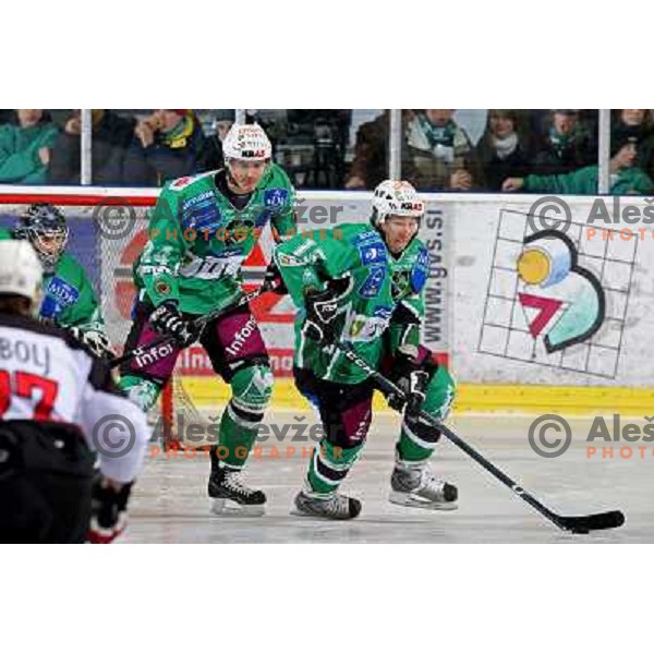 Ziga Pavlin and Egon Muric at ice hockey match Tilia Olimpija-Acroni Jesenice in round 39 of Ebel league, played in Hala Tivoli, Ljubljana 30.12.2008 