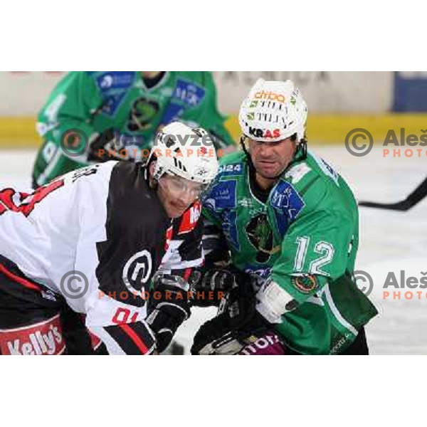 Hafner and Elik at ice hockey match Tilia Olimpija-Acroni Jesenice in round 39 of Ebel league, played in Hala Tivoli, Ljubljana 30.12.2008 