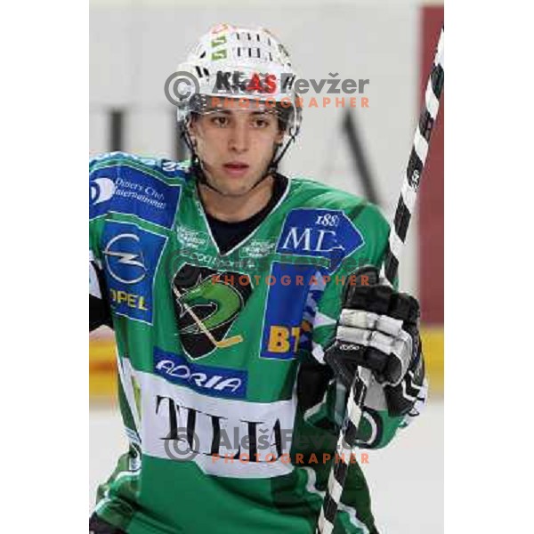 Ziga Pance at ice hockey match Tilia Olimpija-Acroni Jesenice in round 39 of Ebel league, played in Hala Tivoli, Ljubljana 30.12.2008 