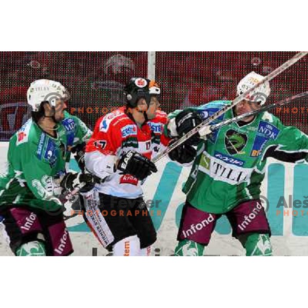 Banham and Elik at ice hockey match Tilia Olimpija-TWK Innsbruck in round 42 of Ebel league, played in Hala Tivoli, Ljubljana 6.1.2009 