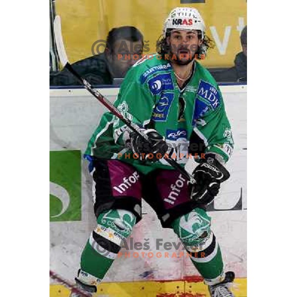 Frank Banham at ice hockey match Tilia Olimpija-TWK Innsbruck in round 42 of Ebel league, played in Hala Tivoli, Ljubljana 6.1.2009 