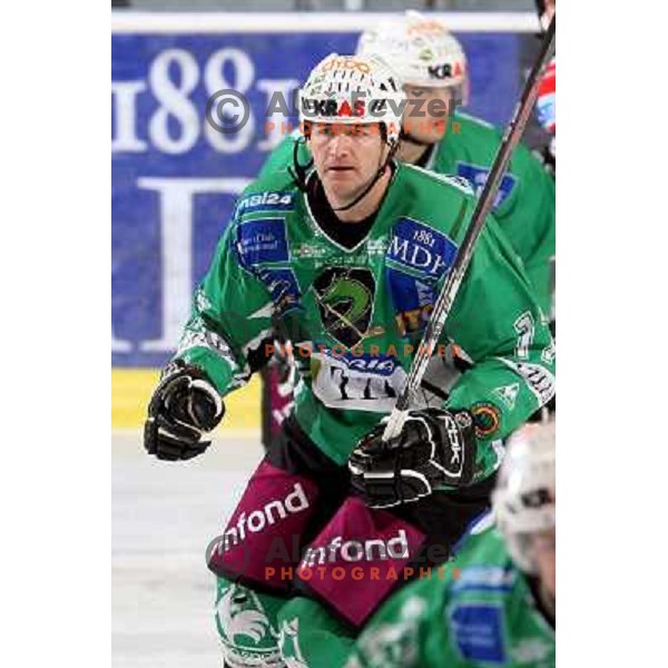 Nik Zupancic at ice hockey match Tilia Olimpija-TWK Innsbruck in round 42 of Ebel league, played in Hala Tivoli, Ljubljana 6.1.2009 