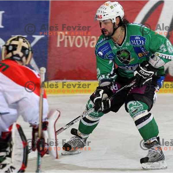 FRank Banham at ice hockey match Tilia Olimpija- TWK Innsbruck in round 42 of Ebel league, played in Hala Tivoli, Ljubljana 6.1.2008. TWK innsbruck won 3:2 after penalty shot-out 