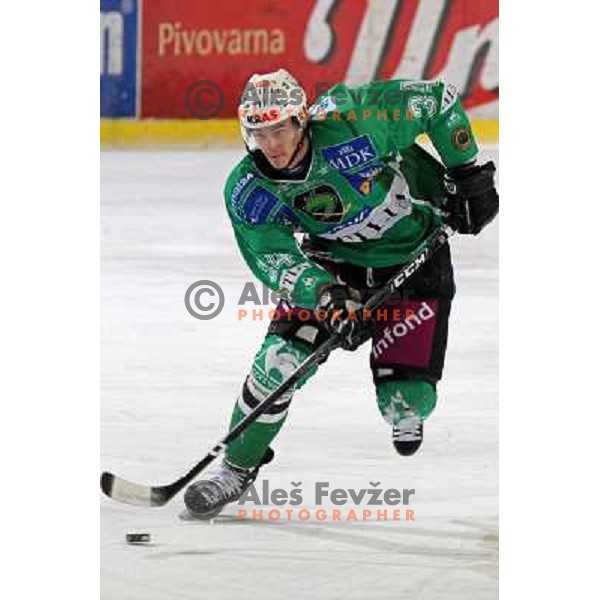 Ziga Pavlin at ice hockey match Tilia Olimpija- TWK Innsbruck in round 42 of Ebel league, played in Hala Tivoli, Ljubljana 6.1.2008. TWK innsbruck won 3:2 after penalty shot-out 