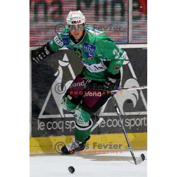 Ziga Pavlin at ice hockey match Tilia Olimpija- TWK Innsbruck in round 42 of Ebel league, played in Hala Tivoli, Ljubljana 6.1.2008. TWK innsbruck won 3:2 after penalty shot-out 