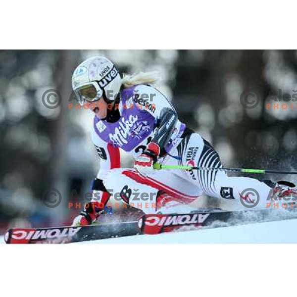 Eva-Maria Brem (AUT) at first run of 45.Golden fox- Zlata Lisica World Alpine skiing giant slalom in Maribor, Slovenia 10.1.2009 