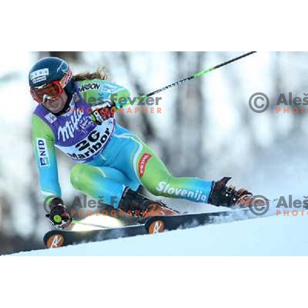 Ana Drev (SLO) at first run of 45.Golden fox- Zlata Lisica World Alpine skiing giant slalom in Maribor, Slovenia 10.1.2009 