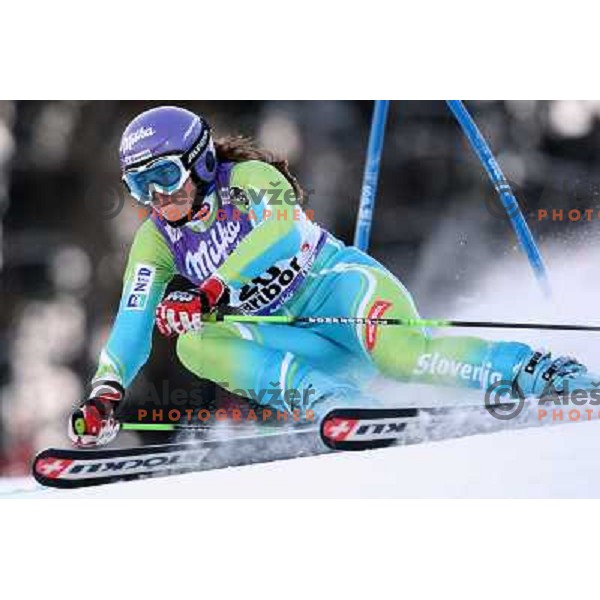 Tina Maze (SLO) at first run of 45.Golden fox- Zlata Lisica World Alpine skiing giant slalom in Maribor, Slovenia 10.1.2009 