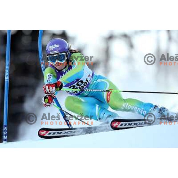 Tina Maze (SLO) at first run of 45.Golden fox- Zlata Lisica World Alpine skiing giant slalom in Maribor, Slovenia 10.1.2009 