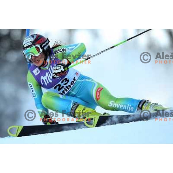 Mateja Robnik (SLO) at first run of 45.Golden fox- Zlata Lisica World Alpine skiing giant slalom in Maribor, Slovenia 10.1.2009 