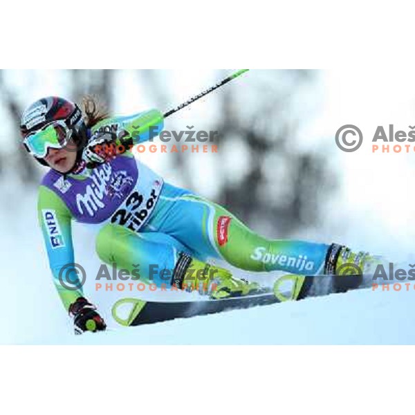  Mateja Robnik (SLO) at first run of 45.Golden fox- Zlata Lisica World Alpine skiing giant slalom in Maribor, Slovenia 10.1.2009 