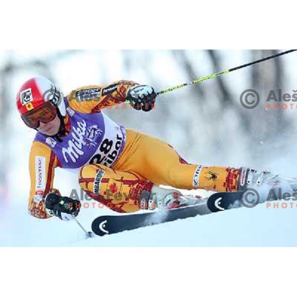 Simard (CAN) at first run of 45.Golden fox- Zlata Lisica World Alpine skiing giant slalom in Maribor, Slovenia 10.1.2009 
