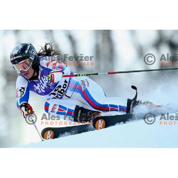 Marion Bertrand (FRA) at first run of 45.Golden fox- Zlata Lisica World Alpine skiing giant slalom in Maribor, Slovenia 10.1.2009 