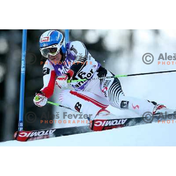 Andrea Fischbacher (AUT) at first run of 45.Golden fox- Zlata Lisica World Alpine skiing giant slalom in Maribor, Slovenia 10.1.2009 