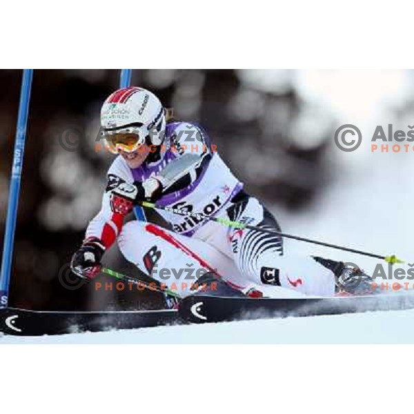 Elisabeth Goergl (AUT) at first run of 45.Golden fox- Zlata Lisica World Alpine skiing giant slalom in Maribor, Slovenia 10.1.2009 