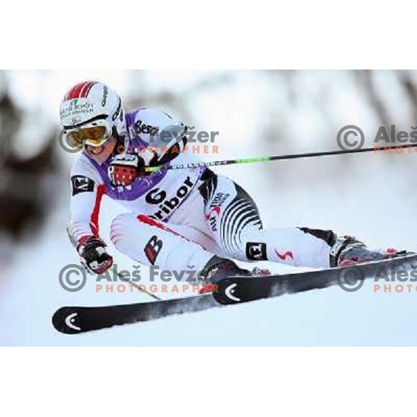 Elisabeth Goergl (AUT) at first run of 45.Golden fox- Zlata Lisica World Alpine skiing giant slalom in Maribor, Slovenia 10.1.2009 