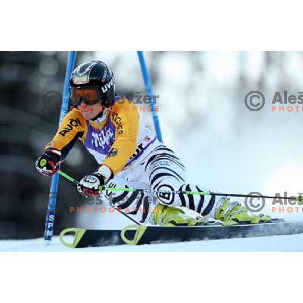 Kathrin Hoelzl (GER) at first run of 45.Golden fox- Zlata Lisica World Alpine skiing giant slalom in Maribor, Slovenia 10.1.2009 